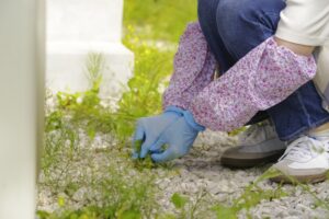 雑草除去の費用はいくら？DIYと業者依頼の違いを徹底比較